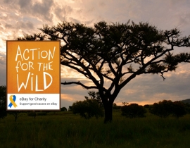 Support Action for the Wild through Ebay!