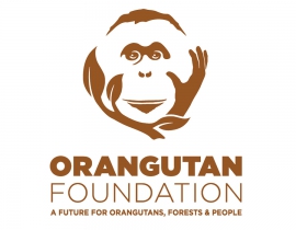 Colchester Zoo’s charity, Action for the Wild, helps The Orangutan Foundation receive €21,000
