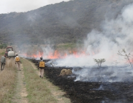 Firebreaks undertaken at the UmPhafa Reserve