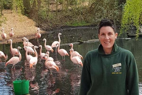 Colchester Zoo keeper lends a hand